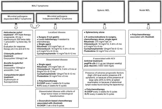 Figure 2. Suggestions for treatment of patients with marginal zone B-cell lymphoma (MZL). / Abbreviations: HCV, hepatitis C virus; IFN, interferon; LDH, lactate dehydrogenase; R-CHOP, rituximab, vincristine, doxorubicin, cyclophosphamide, predisolone; R-FC, rituximab, fludarabine, cyclophosphamide