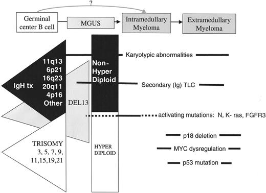 Figure 1. Disease stages and timing of oncogenic events. The earliest oncogenic changes are present in monoclonal gammopathy of undetermined significance (MGUS) and involve two minimally overlapping pathways, primary IgH translocations (black triangle) and multiple trisomies (white triangle), each of which can include a del 13 pathway (grey triangle). Other karyotypic abnormalities, including secondary (Ig) TLC, and epigenetic changes can occur at all stages. Activating mutations of K- or N-RAS appear to mark, if not cause, the MGUS to multiple myeloma (MM) transition in some cases, but sometimes occur during subsequent progression of MM. Late oncogenic events that occur at a time when tumors are becoming more aggressive include MYC dysregulation by secondary (Ig) TLC, bi-allelic deletion of p18, inactivation of Rb, and loss or mutation of p53.