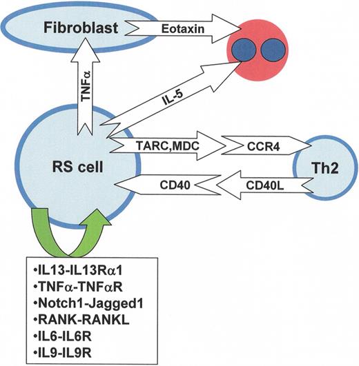 Poppema Figure 1. Epstein-Barr virus–negative Hodgkin lymphoma.