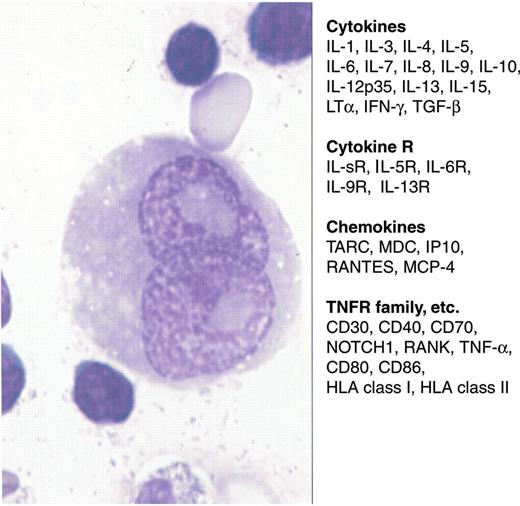 Poppema Figure 2. Cytokines, chemokines and various receptors in Reed-Sternberg cells.