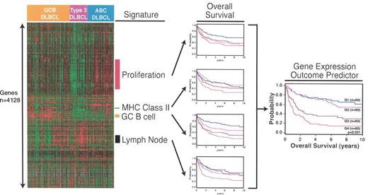 Sweetenham Figure 1. The use of gene expression signatures to form the gene expression outcome predictor in diffuse large B-cell lymphoma. Reproduced with kind permission of LM Staudt. See reference 9.