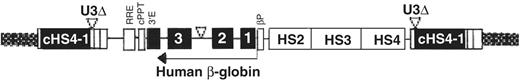 Figure 4. Lentiviral vector design with the cHS4 insulator.33 The SIN lentiviral backbone is flanked by a 1.2-kb cHS4 insulator (cHS4-I) element to replace the 398-bp U3 promoter and/or enhancer deletion. Upon proviral integration into host genome, the U3 region containing the cHS4 is copied over to the 5′LTR. The ‘insulated’ replacement gene contains the β-globin gene and β-globin LCR elements. / Reprinted with permission from Puthenveetil G, Scholes J, Carbonell D, et al. Successful correction of the human beta-thalassemia major phenotype using a lentiviral vector. Blood. 2004;104:3445–3453. ©American Society of Hematology.