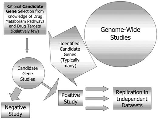 Figure 2. Relationship between genome-wide and candidate gene pharmacogenetic studies.