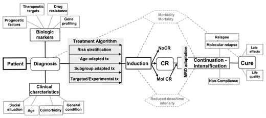 Figure 1. Course of therapy in adult acute lymphoblastic leukemia and potential influencing factors.