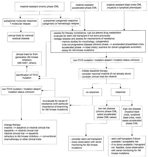 Figure 1. Potential algorithm for treatment options, imatinib-resistant chronic myelogenous leukemia (CML).