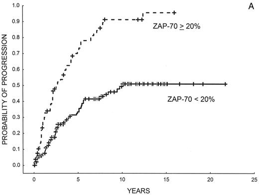Figure 3. (A) Progression-free survival in 220 patients with CLL according to ZAP-70 expression as detected by flow cytometry. ZAP-70 negative (< 20% of leukemic cells): 140 patients; ZAP-70 positive (> 20% of leukemic cells): 80 patients (Barcelona series; updated). (B) Overall survival in 220 patients with CLL according to ZAP-70 expression as detected by flow cytometry. ZAP-70 negative (< 20% of leukemic cells): 140 patients; ZAP-70 positive (> 20% of leukemic cells): 80 patients (Barcelona series; updated).