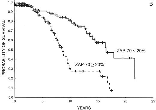 Figure 3. (A) Progression-free survival in 220 patients with CLL according to ZAP-70 expression as detected by flow cytometry. ZAP-70 negative (< 20% of leukemic cells): 140 patients; ZAP-70 positive (> 20% of leukemic cells): 80 patients (Barcelona series; updated). (B) Overall survival in 220 patients with CLL according to ZAP-70 expression as detected by flow cytometry. ZAP-70 negative (< 20% of leukemic cells): 140 patients; ZAP-70 positive (> 20% of leukemic cells): 80 patients (Barcelona series; updated).