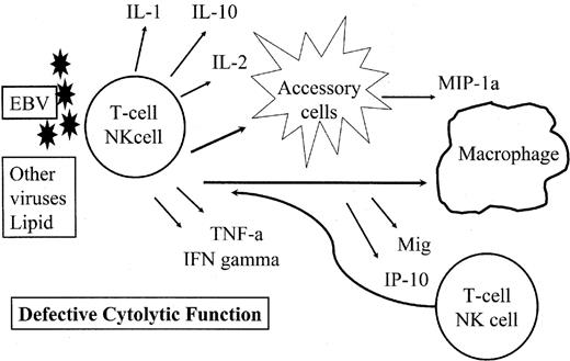 Figure 2. Pathogenetic mechanisms of the hemophagocytic syndrome (HPS). / The HPS is precipitated by an immune stimulus, most often Epstein-Barr virus (EBV), in the context of defective cytolytic function. T cells and NK cells are stimulated to produce a variety of cytokines, including interferon-γ. These stimulate accessory cells, which in turn produce chemokines leading to further stimulation and activation of macrophages and T and NK cells. In the setting of a defective cytolytic response, the cycle of stimulation continues uninterrupted.