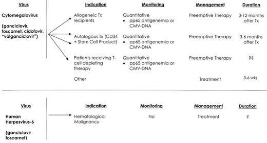 Figure 1. Viral infections—hematological malignancy. / Abbreviations: TX, transplant; RX, therapy