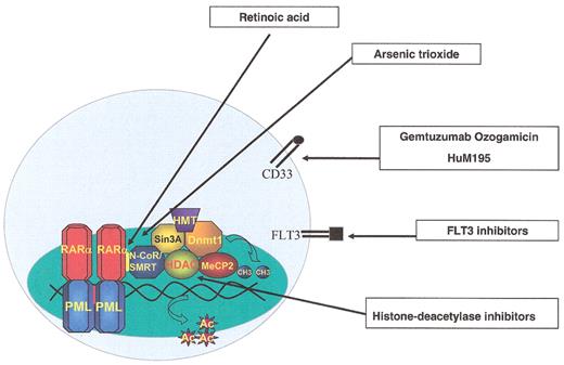 Lo-Coco Figure 1. Cellular and molecular targets for tailored therapy in APL.