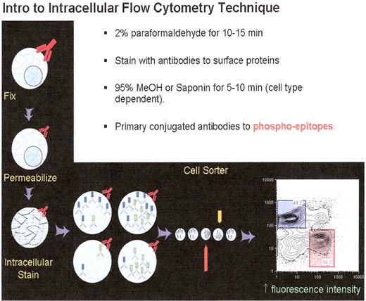 Nolan Figure 1. Fixation and staining of cells for phospho flow analysis. Cells are obtained and placed in culture, staring at it with appropriate cytokines or other cellular induction conditions, and at an experimentally determined time post-stimulation the cells are fixed with paraformaldehyde. As noted in the primary text the cells are permeabilized and then stained for intracellular and surface epitopes.