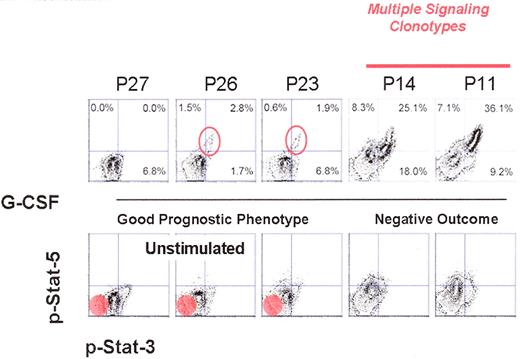 Nolan Figure 2. A potential clinical progression map. On the X and Y axes of each graph are the relative level of phosphorylated Stat-3 and Stat5 present in each cell. The cells become denser; these are displayed as contour maps. The lower panel set by the basal phosphorylation states of the blood cells without any stimulation. The red circle in the bottom left-hand set of three panels represents where unstimulated cells from a normal individual would lie. As can be seen already in all of these patients there is at least a basal increase in the phosphorylation state of Stat3. As noted in the primary text, G-CSF stimulation results in the appearance of the subpopulation of cells, most predominant in patient 14 and patient 11, that are increasingly positive for either Stat3 or Stat5. The open circles in patient 26 and patient 23 demarcate a subpopulation of cells that might be the initial evolution of a signaling clonotype that is more obviously evidenced in patient 14 and patient 11.