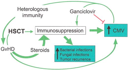 Roback Figure 1. Interactions between cytomegalovirus (CMV), graft-versus-host disease (GvHD), and other adverse events.