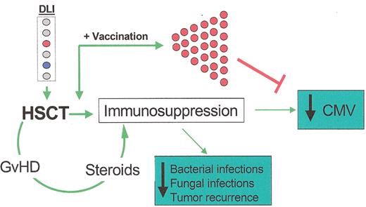 Roback Figure 2. Proposed effects of anti-cytomegalovirus (CMV) vaccination (veDLI) on CMV, graft-versus-host disease (GvHD), and other adverse events after hematopoietic stem cell transplantation (HSCT).