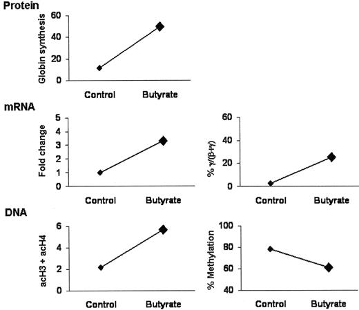 Figure 1. Progenitor-derived cells from the peripheral blood of a patient with sickle cell disease were cultured in the absence (control) and presence of butyrate. Globin synthesis was assessed by polyacrylamide gel electrophoresis and fluorography and expressed as % γ/(γ+β). mRNA levels were measured by quantitative real-time PCR and are expressed as fold change relative to the control and as % γ/(γ+β). DNA methylation at 5 CpG sites in the γ-globin promoters was determined by pyrosequencing and expressed as the average of the methylation at all five sites. Acetylation of histones H3 and H4 was measured by chromatin immunoprecipitation combined with quantitative real-time PCR and expressed as sum of acetylated H3 and acetylated H4 (acH3+acH4). Larger symbols indicate that the changes from the control are statistically significant (i.e., p < 0.05, paired t-test).