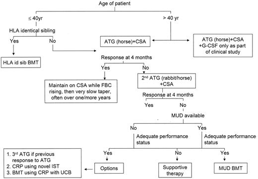 Figure 1A. How do I treat adult acquired severe aplastic anemia?
