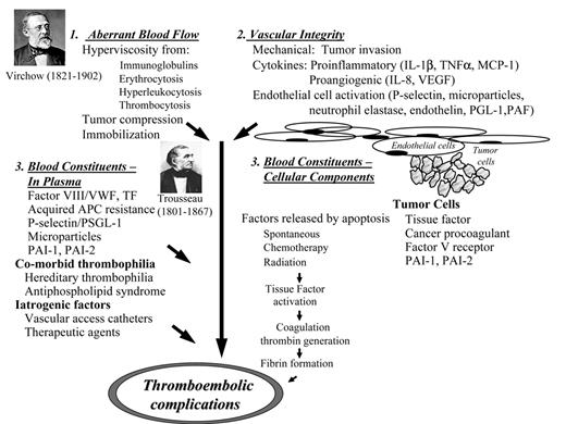 Figure 1. Thrombosis in cancer: present day concept of Virchow’s triad.