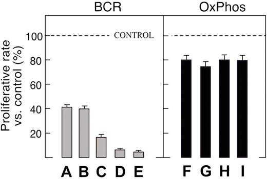 Figure 2. BCR and Ox Phos DLBCL cell lines exhibit differential sensitivity to the BCL6 peptide inhibitor (BPI). / Proliferation of BPI-treated BCR and Ox Phos DLBCL cell lines. Cell lines were treated with 20 μM BPI.