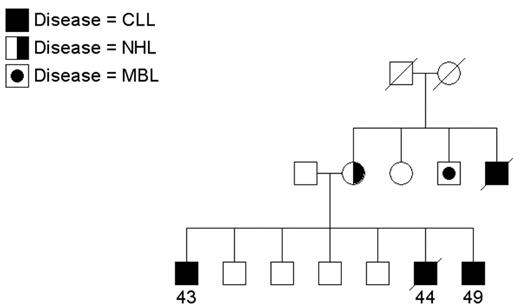 Figure 1. A multigenerational family with individuals affected with chronic lymphocytic leukemia (CLL), non-Hodgkin lymphoma (NHL), and monoclonal B-cell lymphocytosis (MBL). Age at diagnosis is shown.