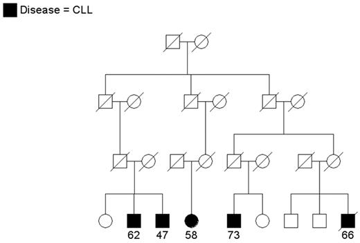 Figure 2. A multigenerational family with cases of chronic lymphocytic leukemia (CLL) in siblings and distant cousins. Age at diagnosis is shown.