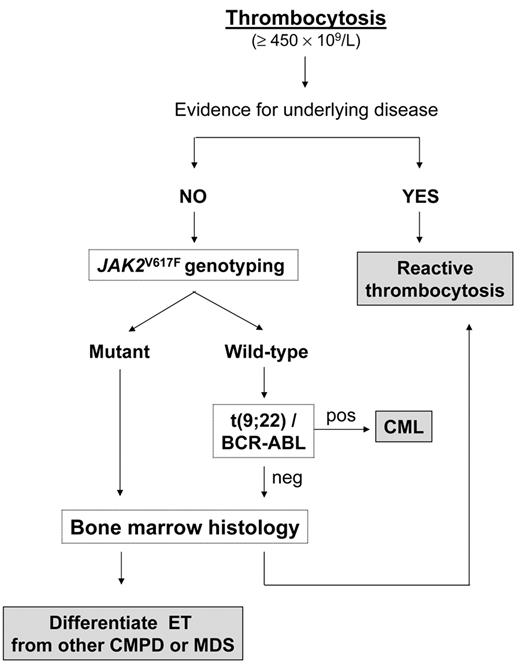 Figure 2. Diagnostic algorithm for a patient with persistent thrombocytosis. / Abbreviations: CML, chronic myelogenous leukemia; CMPD, chronic myeloproliferative disorders; MDS, myelodysplastic syndromes.