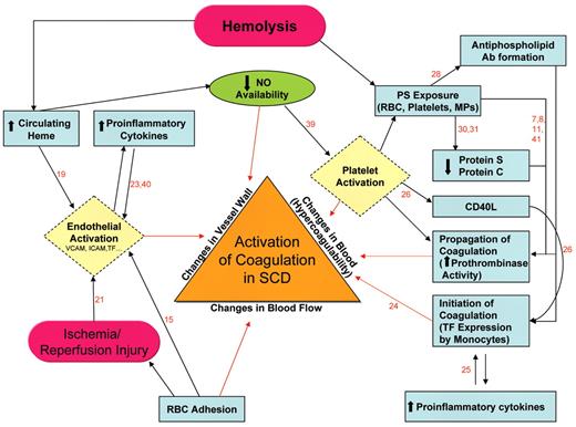 Ataga and Key Figure 1. Schematic representation of pathophysiological mechanisms (described or postulated) leading to activation of coagulation in sickle cell disease. Based on Virchow’s triad, the illustrated pathways contribute to activation of coagulation (and possibly eventual thrombosis) by one of three broad mechanisms: (1) changes in the vessel wall; (2) changes in blood flow; and/or (3) changes in the composition of blood components (‘hypercoagulability’). The numbers refer to the specific reference describing the particular pathway (represented by a joining arrow); references are listed at the end of the text. / Abbreviations: NO, nitric oxide; PS, phosphatidylserine; RBC, red blood cell; MPs, microparticles; TF, tissue factor; SCD, sickle cell disease