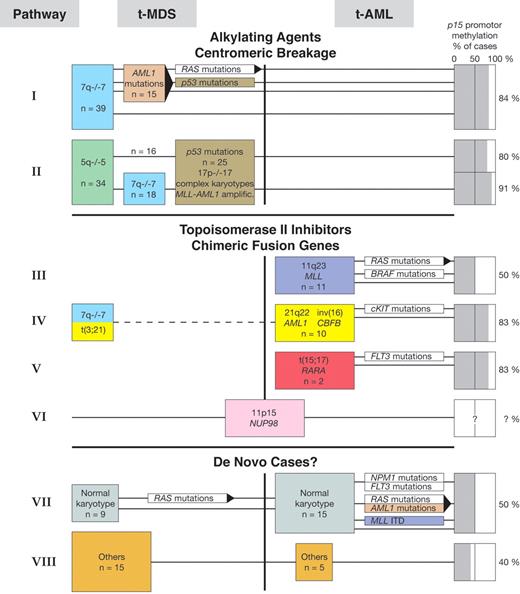 Pedersen-Bjergaard et al Figure 1. Alternative genetic pathways in therapy-related myelodysplasia (t-MDS) and therapy-related acute myeloid leukemia (t-AML). / indicates association with transformation from MDS to AML. / From Leukemia 2006;20:1943–1949 with permission.
