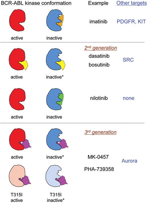 Shah Figure 1. Schematic of binding modes of clinically active BCR-ABL kinase inhibitors. “Active” refers to the open conformation of BCR-ABL that is compatible with ATP binding and hydrolysis. “Inactive” refers to the closed conformation that is not catalytically active. The ability to bind to various BCR-ABL kinase domain conformations was determined by co-crystal studies, except when marked with an asterisk (*), which reflects results of computer modeling–based studies of binding. “Other targets” lists notable kinases that are reported to be inhibited at concentrations required to inhibit BCR-ABL activity.