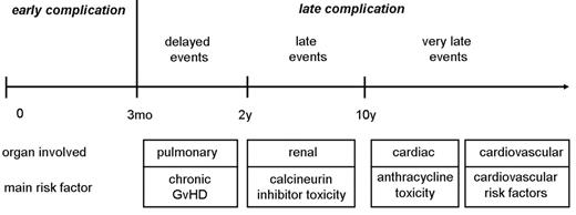 Figure 1. Sequence of appearance of pulmonary, cardiac, cardiovascular and renal complications after hematopoietic stem cell transplantation (HSCT), and main risk factors. Late complications are subdivided into delayed events (between 3 months and 2 years), late events (between 2 and 10 years), and very late events (> 10 years).