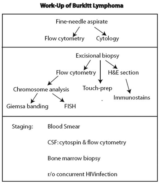 Figure 1. Standard work-up for lesion considered lymphoma. If fine-needle aspirate is performed, it should not delay an excisional biopsy necessary for definitive diagnosis.