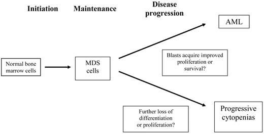 Figure 1. Distinct phases of myelodysplastic syndrome (MDS) that require modeling