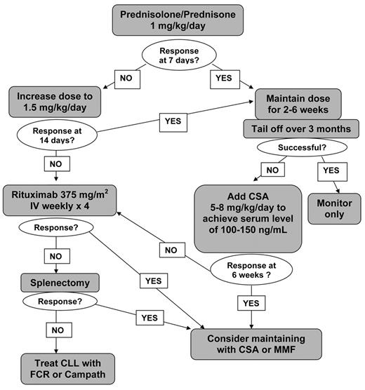 Figure 1. Treatment algorithm for autoimmune hemolytic anemia in chronic lymphocytic leukemia (CLL). / Note: All patients should receive folic acid 5–10 mg/day and red cell transfusions as necessary to maintain Hb > 8 g/dL.