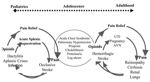 Figure 1. Pain management and age-related complications and pain on a continuum.