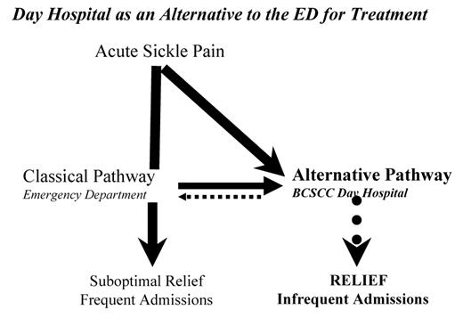 Figure 2. The Bronx Comprehensive Sickle Cell Center (BCSCC) Day Hospital approach as an alternative to the emergency department.