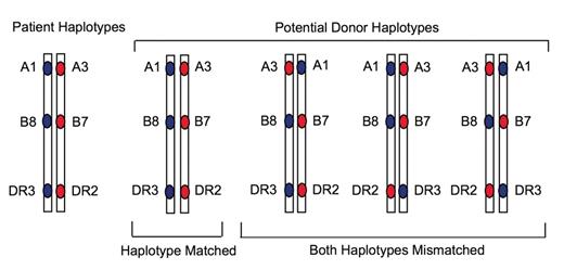 Appelbaum (pp 412–417) Figure 3. Potential haplotype organization of 6 of 6 matched unrelated donors.14