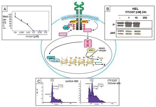 Rambaldi et al (pp 83–91) Figure 1. The histone deacetylase (HDAC) inhibitor ITF2357 can inhibit the removal of acetyl groups and the process that leads to chromatin condensation and transcriptional repression. As a consequence, ITF2357 blocks the clonogenic activity of peripheral blood progenitor cells isolated from patients bearing the JAK2V617F mutation (Panel A). Moreover, exposure to ITF2357 (250 nM) is followed by rapid degradation of either total and phosphorylated JAK2 protein in JAK2V617F-mutated HEL cells (Panel B). Finally, at the same concentration, ITF2357 increases the proportion of apoptotic cells and reduces cells in M phase (Panel C).