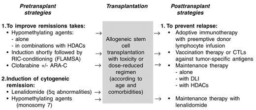 Figure 1. Perspectives of allogeneic stem cell transplantation (SCT) in myelodysplastic syndromes (MDS).
