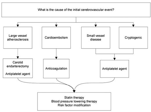Figure 1. Prevention of recurrent stroke based on initial stroke mechanism.