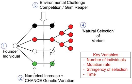 Figure 1. Principles of natural selection.
The figure illustrates four major components involved in derivation of a dominant genetic variant from original founder type by natural selection.
The key variables are four quantitative variables that impact on efficiency and dynamics of natural selection.
Red color is indicative of favorable trait, “fitness” or adaptation.
Slash indicates death.