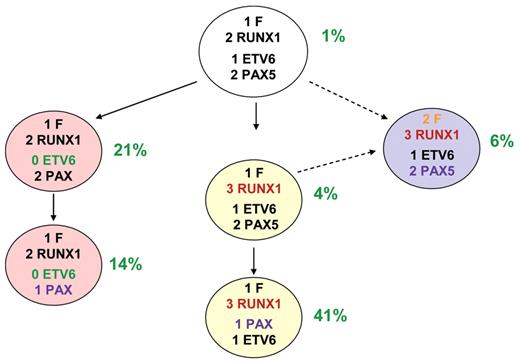 Figure 7. Sub-clonal genetic structure in patient with ETV6-RUNX1–positive acute lymphoblastic leukemia (ALL).
Dashed arrow = possible derivation.
% proportion of fusion gene–positive cells in leukemic population with particular genotype.
0, 1, 2, 3 numbers against gene name: copy number identified by FISH.
F, ETV6-RUNX1 fusion.
1/2/3 RUNX1, copy number of chromosome 21 region including RUNX1 gene.