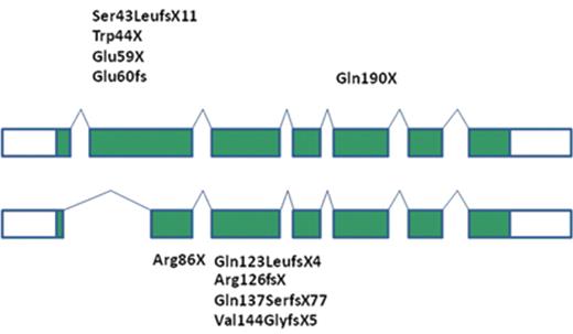 Figure 1. Known mutations in HAX1-deficient neutropenia patients.