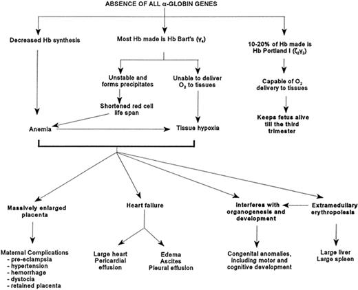 Figure 1. Pathophysiology caused by the absence of the α-globin genes.1
Reprinted with permission from Chui DH, Waye JS. Hydrops fetalis caused by alpha-thalassemia: an emerging health care problem. Blood. 1998;91:2213–2222.