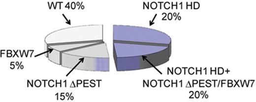 Figure 3. Prevalence of activating mutations in NOTCH1 in T-ALL. NOTCH1 HD and ΔPEST mutations account for the majority of activating mutations in NOTCH1 in T-ALL. An additional 1% of patients harbor translocations involving NOTCH1 and the TCR loci. NOTCH1 JME alleles are found in 3% of all T-ALLs. In total about 15% of T-ALL cases harbor deletions or mutations in FBXW7, which impair the degradation of activated NOTCH1 in the nucleus and are functionally related to NOTCH1 ΔPEST mutant alleles.