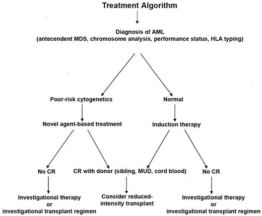 Figure 6. Suggested treatment strategy for older patients with newly diagnosed acute myelogenous leukemia.