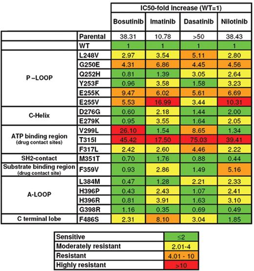 Figure 4. IC50 values for bosutinib, imatinib, dasatinib, and nilotinib against 18 mutations of the Bcr-Abl sequence expressed in Ba/F3 transfected cells. IC50, relative concentration of the compound that inhibits 50% of the enzymes activity; WT, wild type; P loop, phosphate-binding loop; ATP, adenosine triphosphate; SH2, Src homology 2; A loop, activation loop.
 This table was originally presented in the Journal of Clinical Oncology. Redaelli S, Piazza R, Rostagno R, et al. Activity of bosutinib, dasatinib, and nilotinib against 18 imatinib-resistant BCR/ABL mutants. J Clin Oncol. 2009;27:479–471. The data is also available at www.ilte-cml.org/TKI-table.pdf. © The Journal of Clinical Oncology.