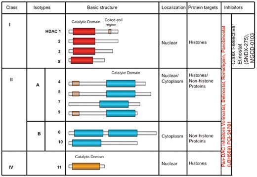 Figure 2. Human zinc-dependent histone deacetylases (HDACs) and their inhibitors.