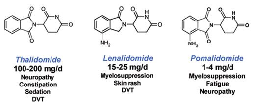 Figure 2. Thalidomide, lenalidomide and pomalidomide share similar chemical structures yet have different clinical profiles.