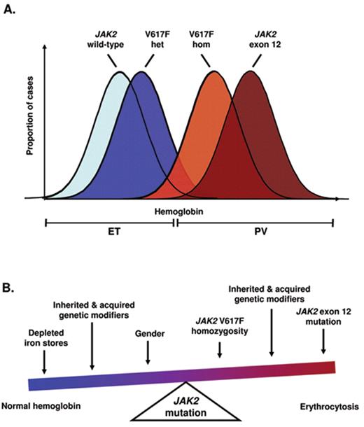 Figure 1. Models to explain the relationship of essential thrombocythemia to polycythemia vera. (A) At the population level, different pathogenetic lesions are likely to be associated with overlapping distributions of hemoglobin level. In keeping with this model, a proportion of patients harboring a JAK2 V617F-homozygous clone may not manifest erythrocytosis; conversely, erythrocytosis may be seen in the absence of a V617F-homozygous clone. (B) When considering an individual with JAK2-mutant disease, the presence or absence of erythrocytosis likely reflects interplay between JAK2 mutation type, gene dosage and additional factors such as patient gender, iron homeostasis and inherited or acquired genetic modifiers.
 Het indicates heterozygous; hom: homozygous.