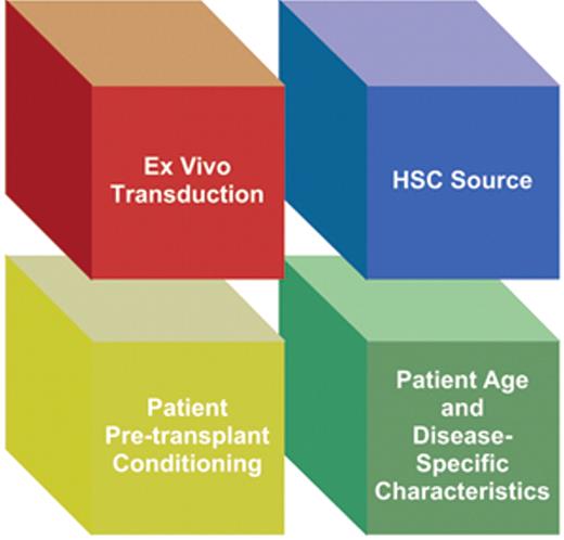 Figure 2. Factors that are likely to influence the outcome of a gene transfer trial for the hemoglobin disorders. Knowledge regarding each component will likely facilitate successful gene therapy of hemoglobin disorders. HSC source, ex vivo cell manipulation and transduction conditions will be important components in determining efficient HSC gene transfer and subsequent engraftment. Patient age and disease-specific factors may influence these parameters. Finally, engraftment will be influenced by the type and amount of pre-transplant conditioning.