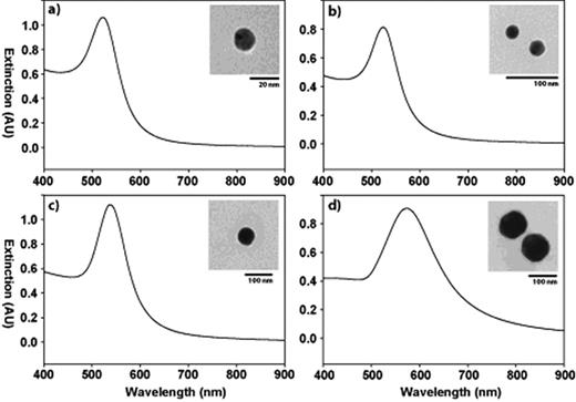 Figure 3. Size-dependent plasmonic properties of metal nanoparticles. Extinction spectra and representative TEM images (inset) for a) 15, b) 30, c) 60, and d) 100 nm colloidal gold in solution. The plasmon resonance peak red-shifts and broadens at larger diameters, while the particle morphology remains quasi-spherical. Of note, the AU refers to arbitrary units.